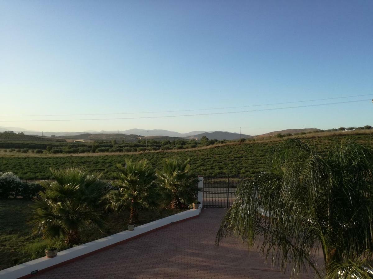 מונטאלגרו Villa Peppino מראה חיצוני תמונה